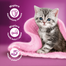 WHISKAS Junior vita si pui in sos, hrana pisoi 4x85g