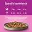 WHISKAS Pure Delight hrana pisici adulte 4x85g bucati de pui si curcan in aspic