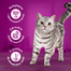 WHISKAS Pure Delight hrana pisici adulte 4x85g bucati de pui si curcan in aspic