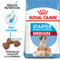 Royal Canin Medium Starter Mother & Babydog Hrană Uscată Câine 1 kg