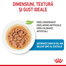 Royal Canin Mini Puppy in sos 85 g hrana umeda catei rasa mica