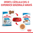 Royal Canin Mini Puppy in sos 85 g hrana umeda catei rasa mica