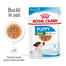 Royal Canin Mini Puppy in sos 85 g hrana umeda catei rasa mica