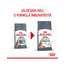 Royal Canin Digestive Care Adult hrana uscata pisica pentru confort digestiv, 2 kg