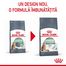 Royal Canin Digestive Care 10 kg hrana uscata pisica pentru pentru sustinerea digestiei