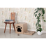 CARTON+ PETS Jucarie interactiva pisici Tobby