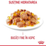 ROYAL CANIN Hair&Skin hrana umeda in aspic pisica pentru piele si blana sanatoase, 12 x 85 g