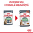 ROYAL CANIN Digestive Care in sos 85 g hrana umeda pisici adulte, cu tract digestiv sensibil