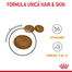 ROYAL CANIN Hair&Skin Care 10 kg hrana uscata pisica adulta pentru blana stralucitoare si piele sanatoasa