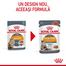 ROYAL CANIN Hair&Skin hrana umeda in sos pisica pentru piele si blana sanatoase, 12 x 85 g