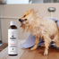 PETS Shampoo Vitamin Sampon blana scurta 250 ml