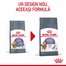 ROYAL CANIN Appetite Control Hrana uscata pisici adulte cu apetit ridicat, cu pasare 400g