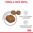 ROYAL CANIN Dental Care 400 g hrana uscata pisici adulte, reduce acumularea de tartru
