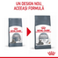 ROYAL CANIN Dental Care 400 g hrana uscata pisici adulte, reduce acumularea de tartru