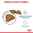 ROYAL CANIN Hairball Care 10 kg hrana uscata pisica pentru reducerea formarii bezoarelor