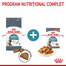 ROYAL CANIN Hairball Care 10 kg hrana uscata pisica pentru reducerea formarii bezoarelor