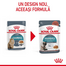 ROYAL CANIN Hairball Care 12 x 85 g in sos hrana umeda pisica pentru reducerea formarii bezoarelor