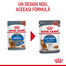 Royal Canin Light Weight Care in sos 85 g hrana umeda pisici adulte cu tendinta de supraponderabilitate