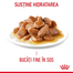 Royal Canin Light Weight Care in sos 85 g hrana umeda pisici adulte cu tendinta de supraponderabilitate