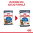 Royal Canin Light Weight Care in aspic 85 g hrana umeda pisica limitarea cresterii in greutate