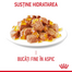 Royal Canin Light Weight Care in aspic 85 g hrana umeda pisica limitarea cresterii in greutate