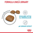 ROYAL CANIN Urinary Care 10 kg hrana uscata pisici adulte, protectie a tractului urinar inferior