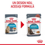 Royal Canin Urinary Care 12 x 85 g in sos, hrana umeda pisica pentru sanatatea tractului urinar