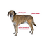 TRIXIE Kenton Pulover caine S 33 cm gri