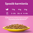 WHISKAS Adult pui si curcan in sos 52x85 g hrana pisici adulte