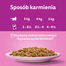 WHISKAS Adult plic somon in sos 28x85g hrana umeda pisici adulte