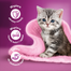 WHISKAS Junior 48x85g pliculet hrana umeda pentru pisoi cu: pui, curcan, pasare, rata in aspic