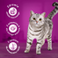WHISKAS Adult hrana cu peste pentru pisica 48x85g somon, ton, cod, peste alb in aspic