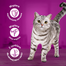 WHISKAS Junior pliculete 28x85g hrana umeda pentru pisoi, cu pui in aspic