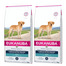 EUKANUBA Adult Breeds Specific Labrador Retriever Chicken 24 kg (2 x 12 kg) hrana uscata caini Labrador Retriever adulti, cu pui