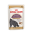 ROYAL CANIN British Shorthair hrană umedă în sos pentru pisici adulte British Shorthair 48x85 g