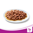 WHISKAS Adult cu miel 400 g