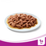 WHISKAS Adult Arome Tradiționale în Sos 12x100g