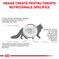 ROYAL CANIN Cat Gastro Intestinal 400 g hrana uscata pentru pisici cu tulburari gastrointestinale