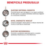ROYAL CANIN Cat Gastro Intestinal 400 g hrana uscata pentru pisici cu tulburari gastrointestinale