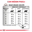 ROYAL CANIN Hepatic Feline 2 kg hrana pentru pisici cu afectiuni hepatice
