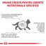 ROYAL CANIN Feline Kitten Gastro Intestinal 2 kg hrana pentru pisoi cu tulburari digestive