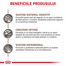 ROYAL CANIN Feline Kitten Gastro Intestinal 2 kg hrana pentru pisoi cu tulburari digestive