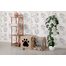 CARTON+ PETS Casuta din carton pentru pisici cu spatiu de zgariat Netti