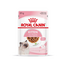 ROYAL CANIN Kitten Instinctive 48x85 g hrana in sos pentru pisoi pana la varsta de 12 luni