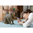 INABA Churu Cat Recompensa pentru pisici,  piure cu pui si creveti 56 g