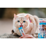 INABA Churu Cat Recompensa pentru pisici, piure cu ton si scoici 56 g