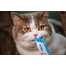 INABA Churu Cat Recompensa pentru pisici, piure cu pui si crab 56 g