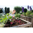 GARDENA Comfort Unealta aeresire si afanare sol