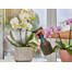 GARDENA Pulverizator, 0,75 l