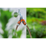 Supapa dubla GARDENA OGS cu filet de 1" si adaptor de 3/4"
